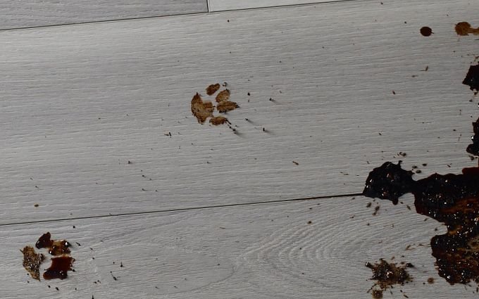 porch with muddy paw prints