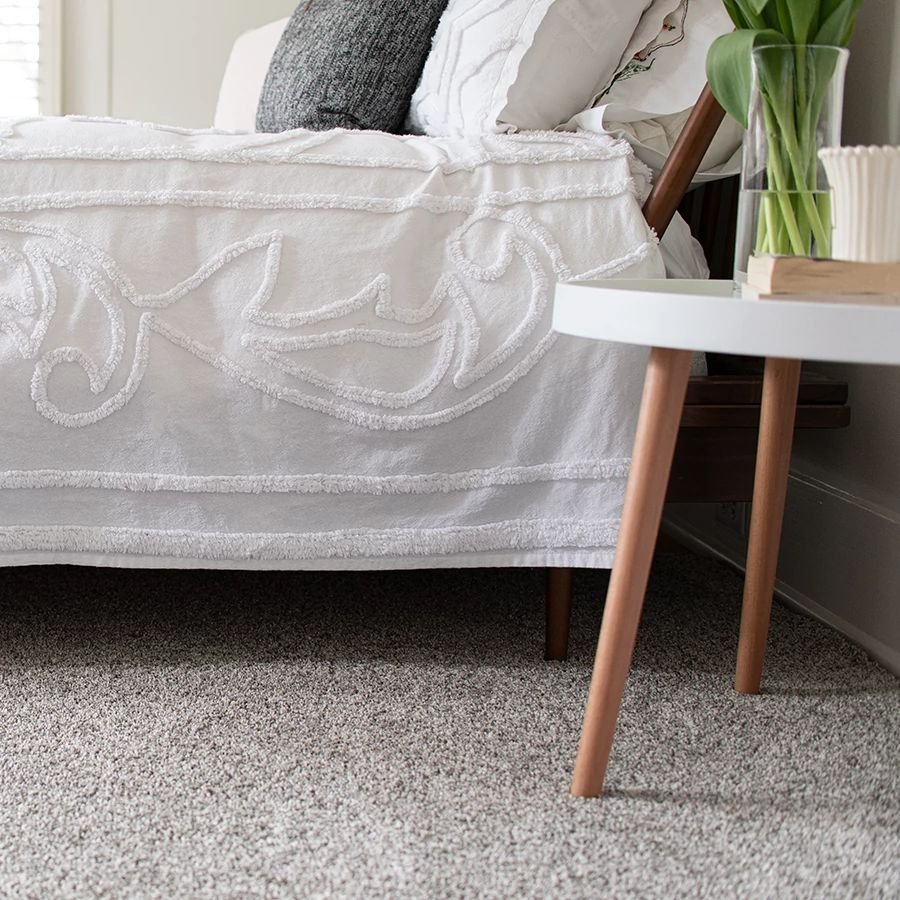 Bed and coffee table on carpet floor - CARPET LOVER PLUS in MA